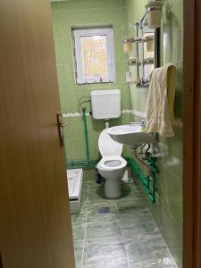 a green bathroom with a toilet and a sink at Vrba in Gacko +10 photos