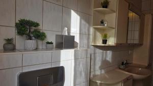 a bathroom with a sink and a mirror and plants at Bachoase Bischofsmais in Bischofsmais