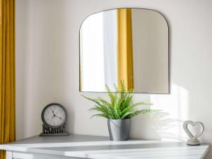 a plant sitting on a shelf under a mirror at 2 Bed in Lyndhurst oc-86768 in Lyndhurst +3 photos