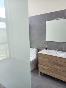 a bathroom with a sink and a toilet and a mirror at Casa da Fraga in Alfândega da Fé +6 photos
