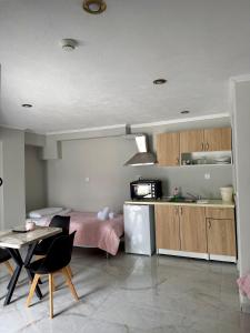 a kitchen and living room with a bed and a table at Villa Athina C in Serres