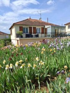 a field of flowers in front of a house at Le jardin aux iris in Tonnerre