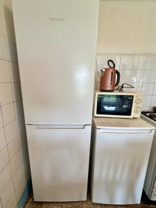 a white refrigerator with a microwave on top of it at Rózsa Ház in Mélykút +6 photos