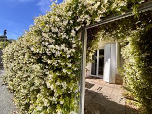 a wall covered in flowers with a white door at Villa Etoile in Cannes