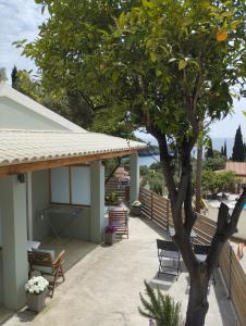 a tree in front of a house with a patio at Manganas Studios in Paleokastritsa