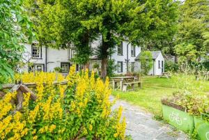 a garden with yellow flowers in front of a white house at The Church House in Torver