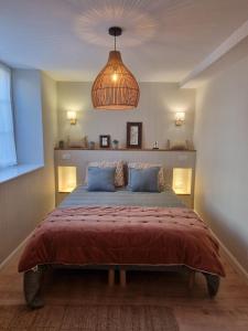 a bedroom with a large bed with a ceiling at Maison de Centre ville in Limoux