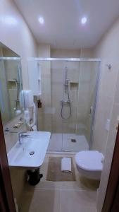 a bathroom with a shower and a sink and a toilet at Apartments Marco Polo Midi in Brussels +37 photos