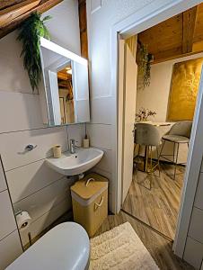 a bathroom with a sink and a toilet and a mirror at Zentrales Design Loft über den Dächern St Gallens in St. Gallen +45 photos