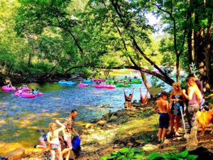 a group of people standing on the bank of a river at Cozy Cabin in Helen