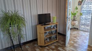 a television on a stand in a room with plants at Marychris in Saint-Loubès