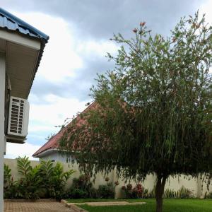 a tree in a yard next to a house at Kilimanjaro Magic MJ Branch in Old Moshi