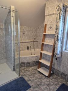 a bathroom with a shower and a ladder to a tub at Ferienhof Edtmeier in Zell am Moos +41 photos