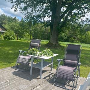 two chairs and a table with a plant on a deck at Malinada-kaimo sodyba in Šalčininkai