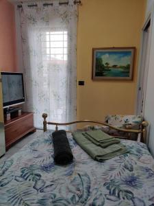 a bedroom with a bed and a television and a window at Casa Bruzio B&B in San Giorgio di Piano