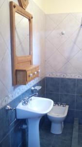 a bathroom with a sink and a mirror and a toilet at Posada Tajaluz in Río Pico