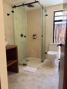 a bathroom with a shower and a toilet at Hotel Boutique Alcalá Vallarta in Puerto Vallarta