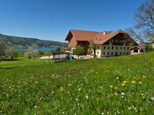 a house on a hill with a field of flowers at Ferienhof Edtmeier in Zell am Moos