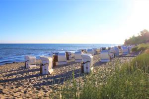 a row of white chairs on the beach at Seegurke in Am Schwarzen Busch