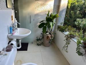 a bathroom with a sink and a toilet and potted plants at Chácara do Waltinho in Contagem
