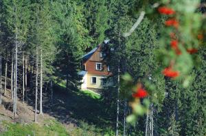 a small house in the middle of a forest at Vila Eden in Pec pod Sněžkou