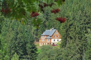 a large house in the middle of a forest at Vila Eden in Pec pod Sněžkou