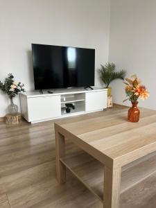 a living room with a television on a white entertainment center at Apartmán Třinec in Třinec