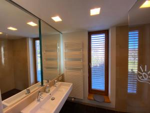 a bathroom with a sink and a large mirror at Sonnenchalet in Bodman-Ludwigshafen +17 photos