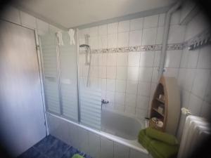 a bathroom with a shower and a tub and a sink at Über den Dächern von Furth im Wald in Furth im Wald