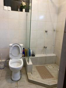 a bathroom with a shower with a toilet and a shower at Ruaka Karington Studio in Ruaka +8 photos