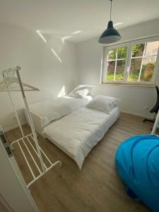 a bedroom with two bunk beds and a ladder at Apartment am Paradiespark in Jena