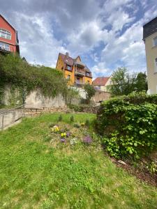 a yard with some flowers in the grass at Apartment am Paradiespark in Jena