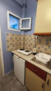 a small kitchen with a stove and a window at Garden House Katerina in Leptokarya