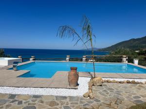 a large vase sitting next to a swimming pool at Antica Dimora Palinuro in Palinuro