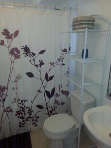 a bathroom with a toilet and a shower curtain at Condominio Lomas de Papudo I in Papudo