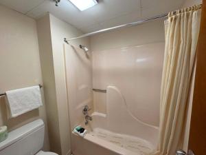 a bathroom with a shower and a white toilet at Landmark Inn On The River Sevierville in Sevierville