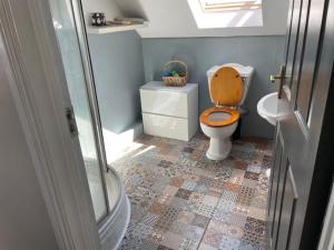 a bathroom with a toilet with a wooden seat at Wild Atlantic View in Walshestown
