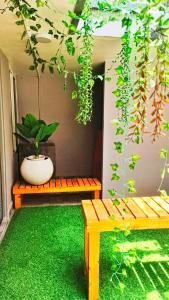a porch with two benches and a potted plant at KRS PARADISE premium suite room in Tiruvannāmalai