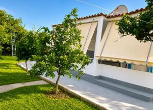 a house with a lemon tree in the yard at Beautiful Sea View Borsh in Borsh