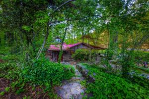 a log cabin with a red roof in the woods at Log Cabin in Helen +3 photos