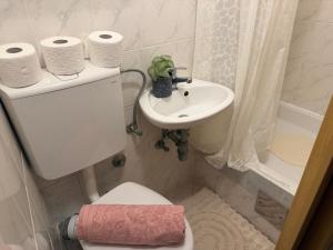 a bathroom with a toilet and a sink and a shower at Luxury rooms in Split +2 photos