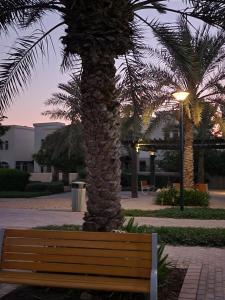 a wooden bench sitting next to a palm tree at Cosy Studio - Desert Breeze in Ghantoot