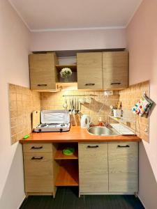a small kitchen with a sink and a microwave at Ptasi Raj in Karwia +32 photos