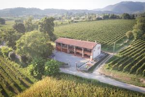 PassiranoにあるLa Cascinettaのブドウ畑中の建物の空中