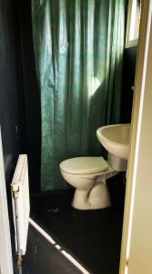 a bathroom with a toilet and a sink at 't Veldhuisje 109 - naast het bos, honden toegestaan in Anloo +13 photos