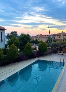 a swimming pool with a shark in the water at Maison Edina - Cunda in Ayvalık +6 photos