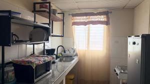 a small kitchen with a sink and a microwave at Hostal Flores in David