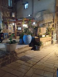 a group of potted plants sitting in a room at Calamari Suite in Acre