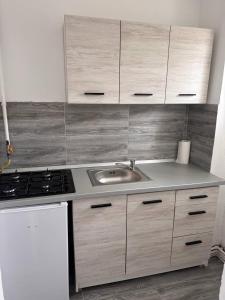 a kitchen with a sink and a stove at Hunyadi Nest in Hunedoara