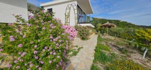 a house with pink flowers on the side of it at Oceanfront Oasis in Borsh